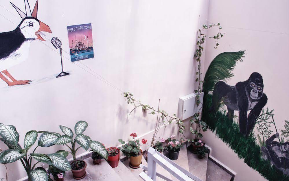 Puffin Boutique - Istanbul Hostel Eksteriør bilde